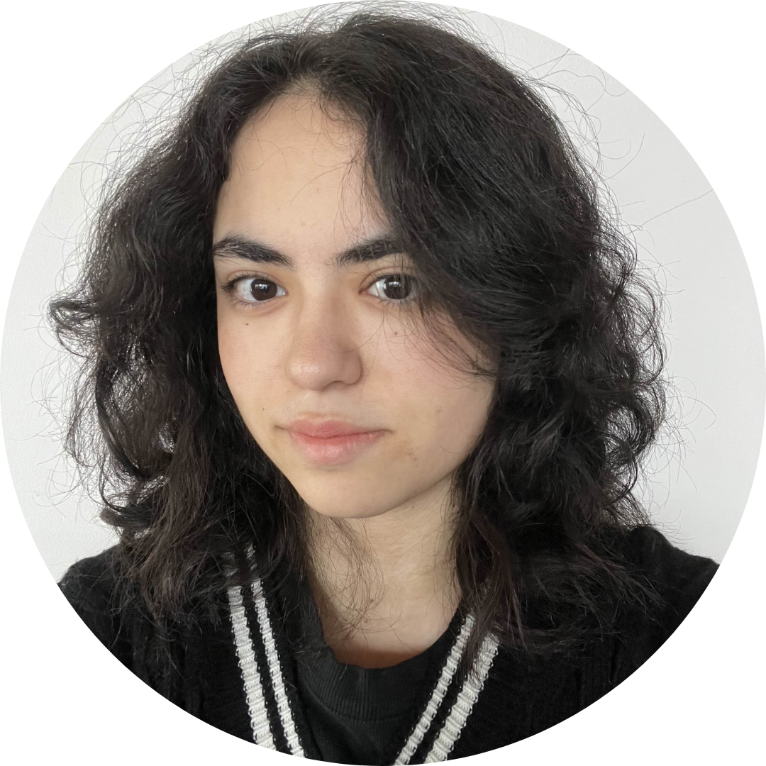 A picture of the CCSS board member Kimia Khorram-Roudi